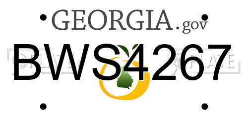 BWS4267 Georgia License Plate