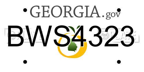 BWS4323 Georgia License Plate