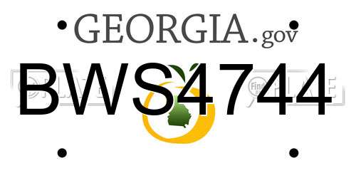 BWS4744 Georgia License Plate