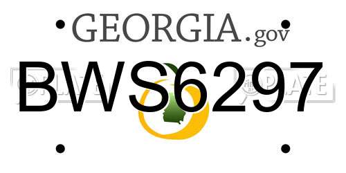 BWS6297 Georgia License Plate