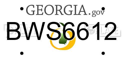 BWS6612 Georgia License Plate