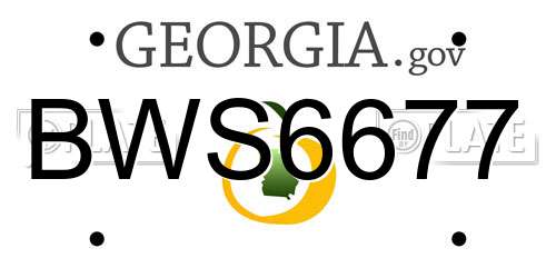 BWS6677 Georgia License Plate