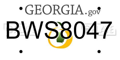 BWS8047 Georgia License Plate