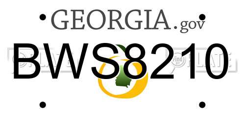 BWS8210 Georgia License Plate