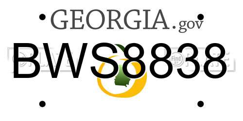 BWS8838 Georgia License Plate