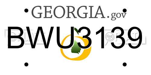 BWU3139 Georgia License Plate