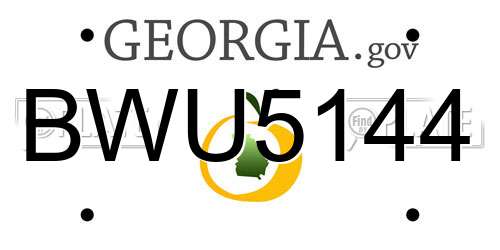 BWU5144 Georgia License Plate