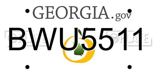 BWU5511 Georgia License Plate