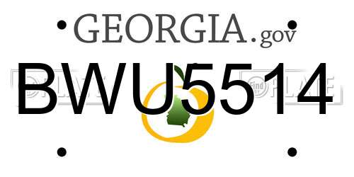 BWU5514 Georgia License Plate