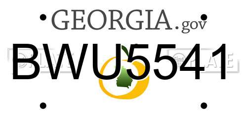 BWU5541 Georgia License Plate