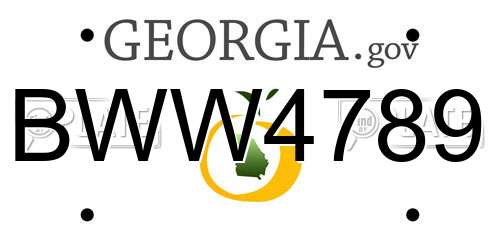 BWW4789 Georgia License Plate