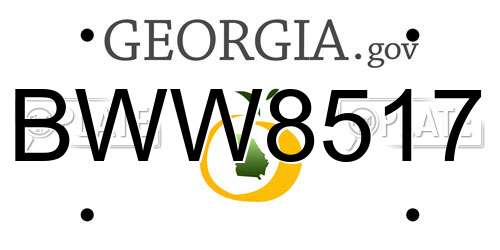 BWW8517 Georgia License Plate