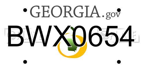 BWX0654 Georgia License Plate