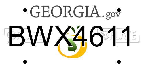 BWX4611 Georgia License Plate