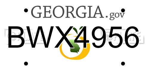BWX4956 Georgia License Plate
