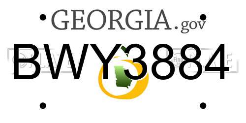 BWY3884 Georgia License Plate
