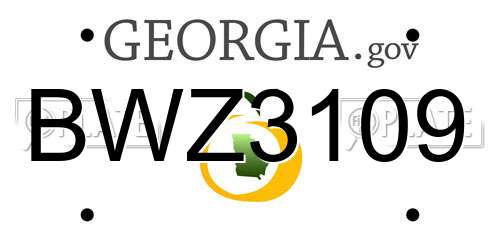 BWZ3109 Georgia License Plate
