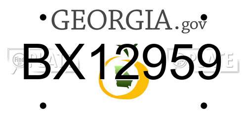 BX12959 Georgia License Plate
