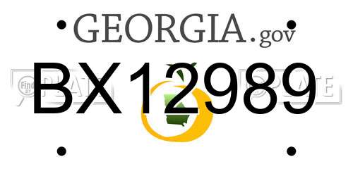 BX12989 Georgia License Plate