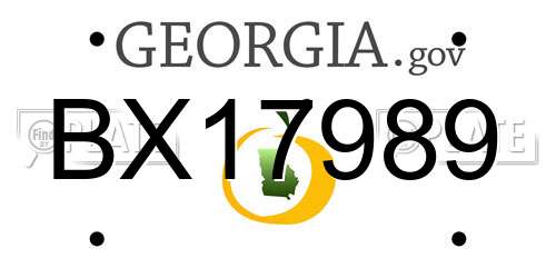 BX17989 Georgia License Plate