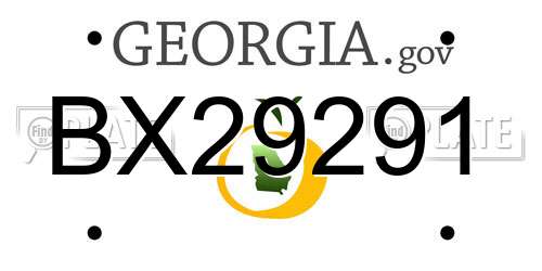 BX29291 Georgia License Plate