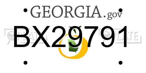 BX29791 Georgia License Plate
