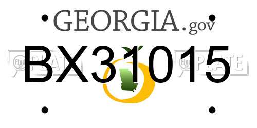 BX31015 Georgia License Plate
