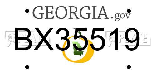 BX35519 Georgia License Plate