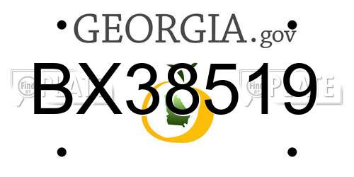 BX38519 Georgia License Plate