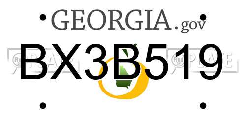 BX3B519 Georgia License Plate