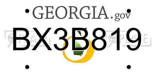BX3B819 Georgia License Plate