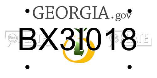 BX3I018 Georgia License Plate
