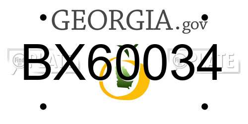 BX60034 Georgia License Plate