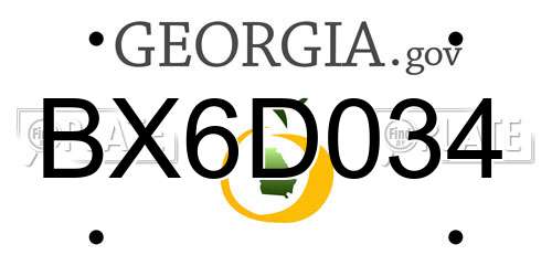 BX6D034 Georgia License Plate