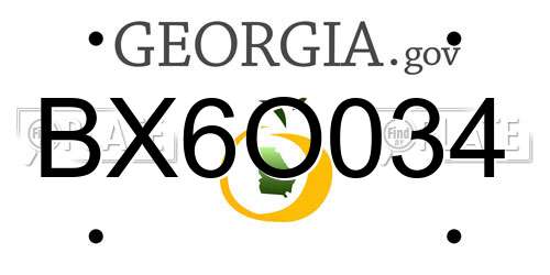 BX6O034 Georgia License Plate