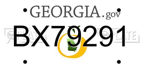 BX79291 Georgia License Plate