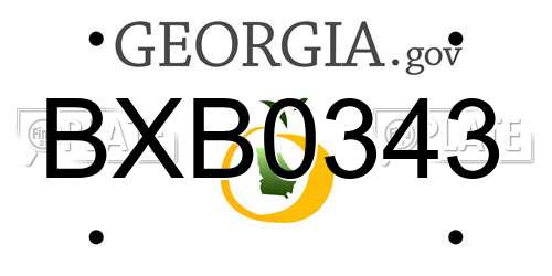 BXB0343 Georgia License Plate