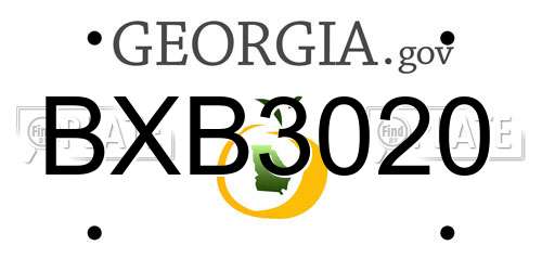 BXB3020 Georgia License Plate