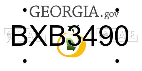 BXB3490 Georgia License Plate