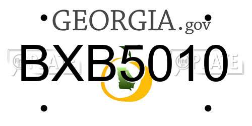 BXB5010 Georgia License Plate