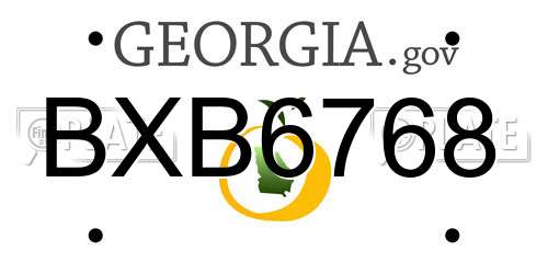BXB6768 Georgia License Plate