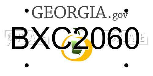BXC2060 Georgia License Plate