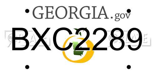 BXC2289 Georgia License Plate