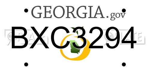 BXC3294 Georgia License Plate