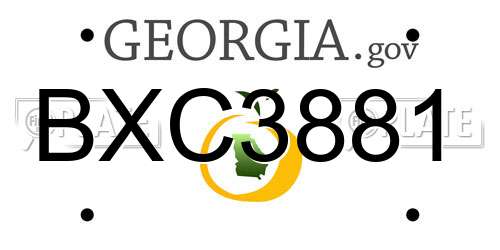 BXC3881 Georgia License Plate
