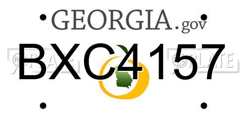 BXC4157 Georgia License Plate