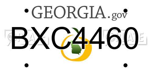 BXC4460 Georgia License Plate