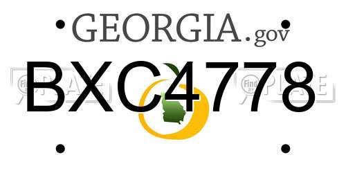 BXC4778 Georgia License Plate