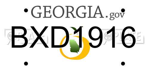 BXD1916 Georgia License Plate