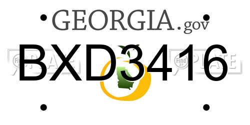 BXD3416 Georgia License Plate